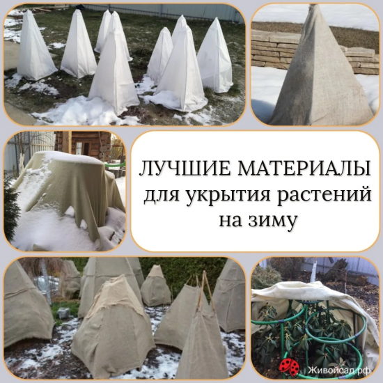 укрытие сада 2027г.