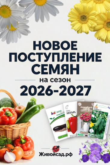 Свежее поступление семян