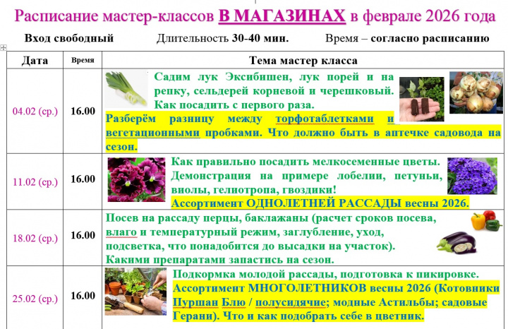 Семинары на 2026 год. Февраль