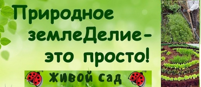 Наши видеоуроки