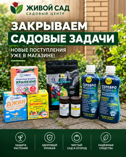 новость 22.09.2026